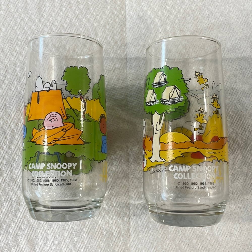 Camp Snoopy Collection